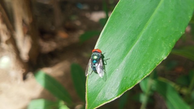 IMG20250531101734.jpg