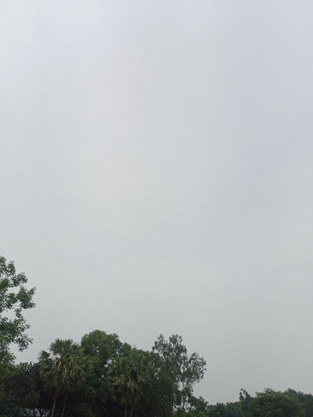 IMG20250803170707.jpg
