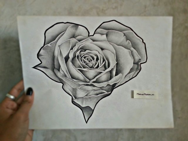 Drawing Realistic Rose With A Heart Shape Steemit