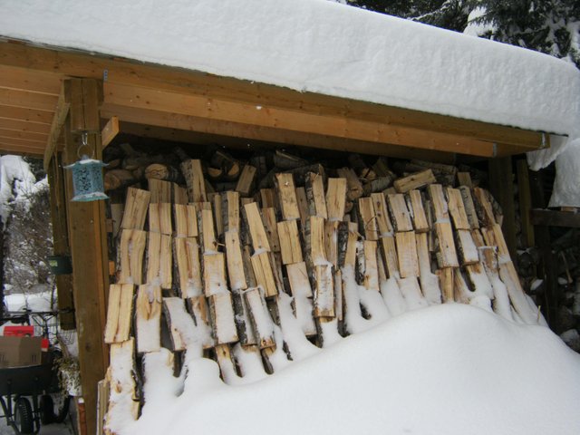 woodpile.jpg