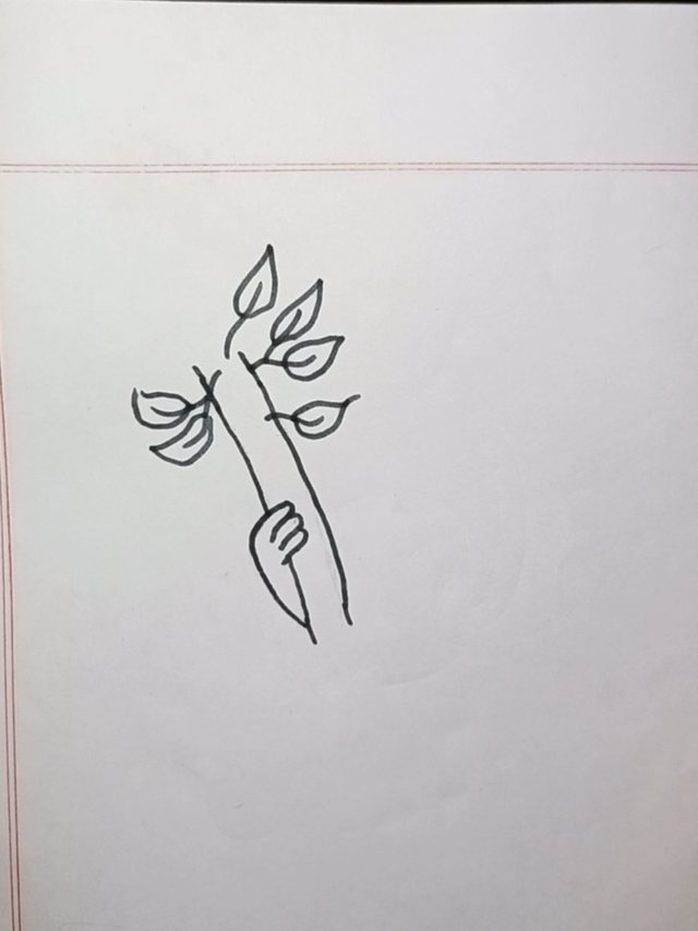 Screenshot_20250612_195748_Gallery.jpg