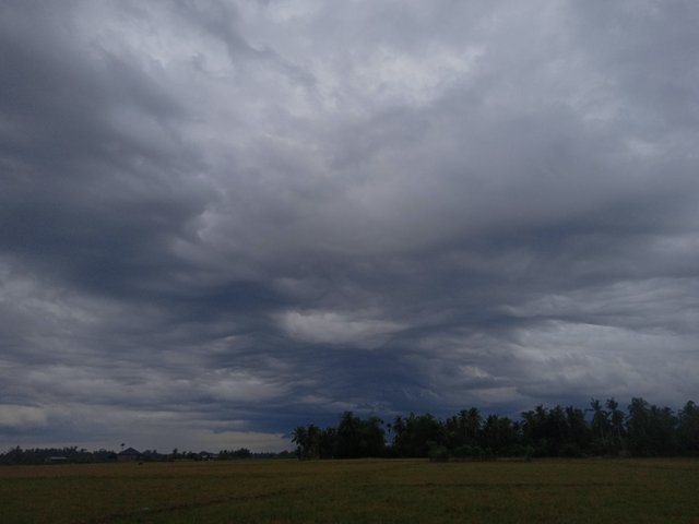IMG20250903164809.jpg