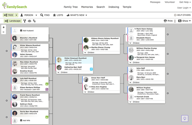 PS161206_jlm02-FamilySearch-Tree-Landscape.png