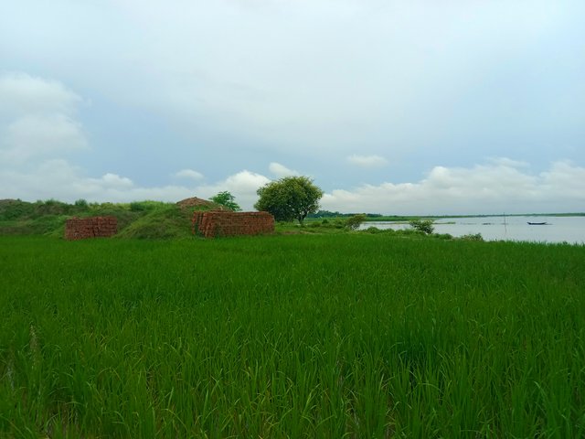 IMG_20250725_202137.jpg