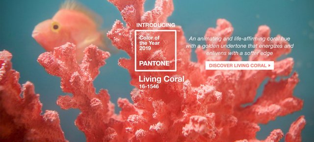 pantone-color-of-the-year-2019-living-coral-homepage.jpg