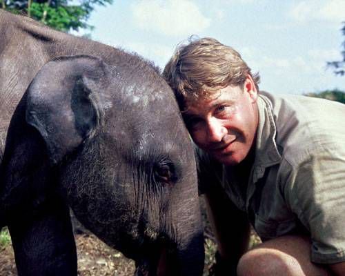 Steve-Irwin.jpg.638x0_q80_crop-smart.jpg