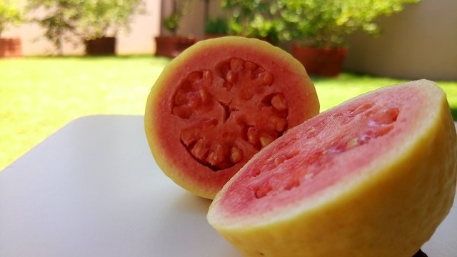 guava-5979598_1280.jpg