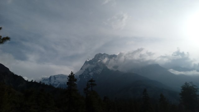 20250503_164226.jpg