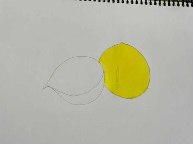 IMG_2090.jpeg