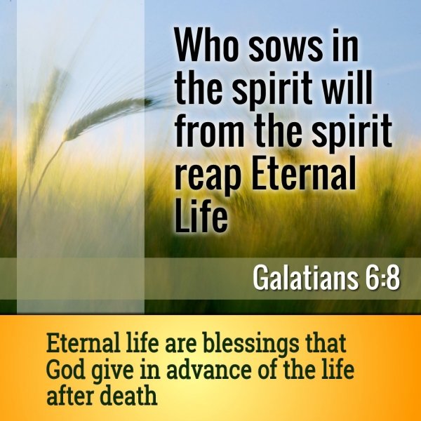 Sow to the spirit (Galatians 6) What does it mean.jpg