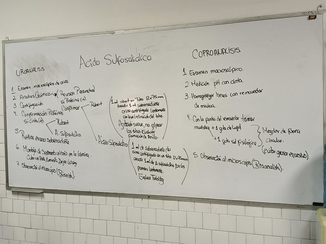 IMG_20250614_145638_420.jpg