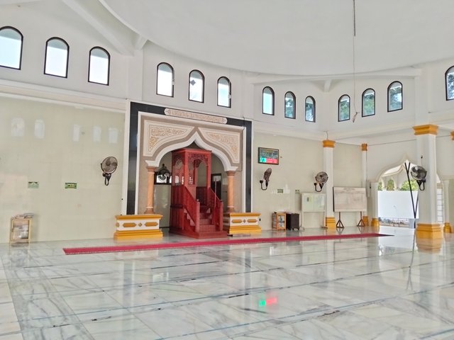 11433.jpg