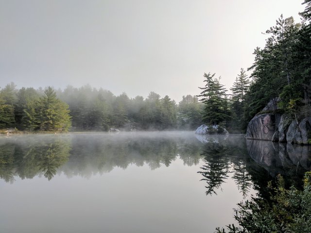 fog-lingers-over-calm-lake_4460x4460.jpg