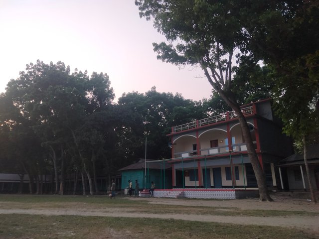 IMG20250330172819.jpg