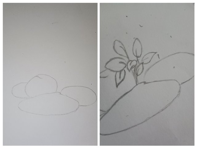 20250630_160519-COLLAGE.jpg