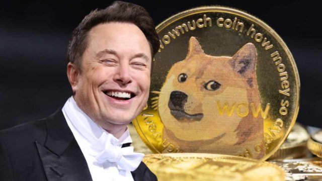 musk-doge-1024x576.jpg