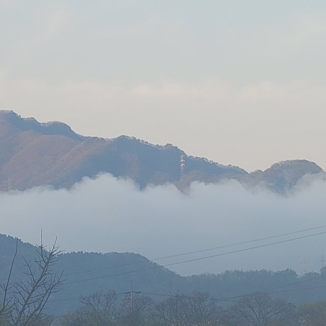 20220416_063240.jpg