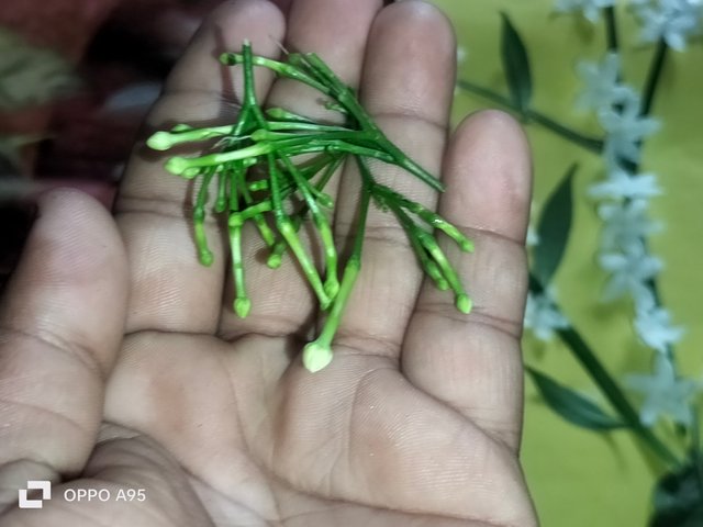 IMG20250604092508.jpg