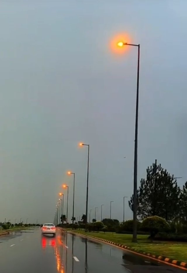 1744507018864.jpg