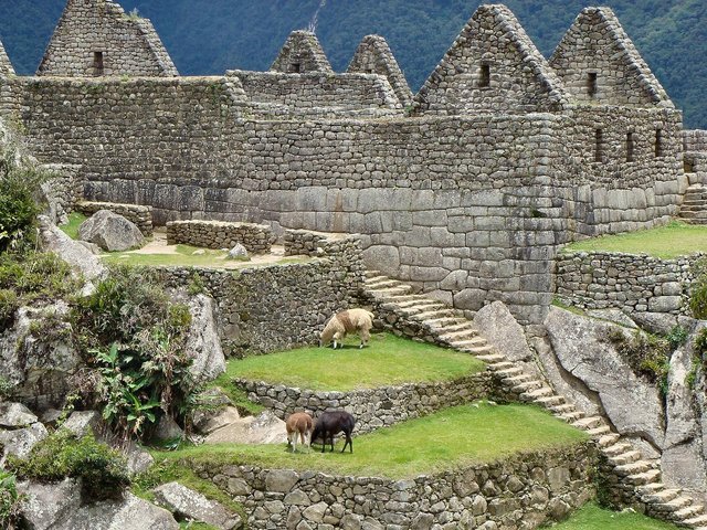 machu-picchu-2782850_1280.jpg
