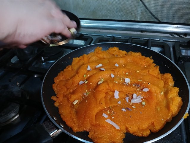 1000258366.jpg