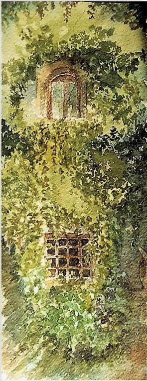 gli_occhi_dell_edera_(2006)cc.jpg