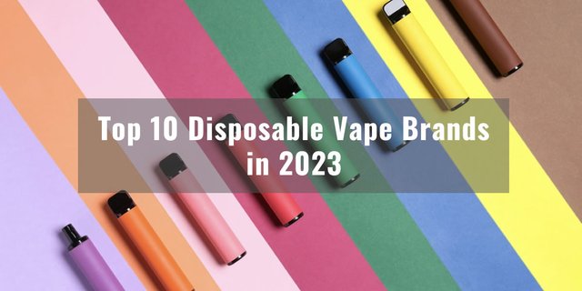 Top 10 Disposable Vape Brands in 2023 -2.jpg