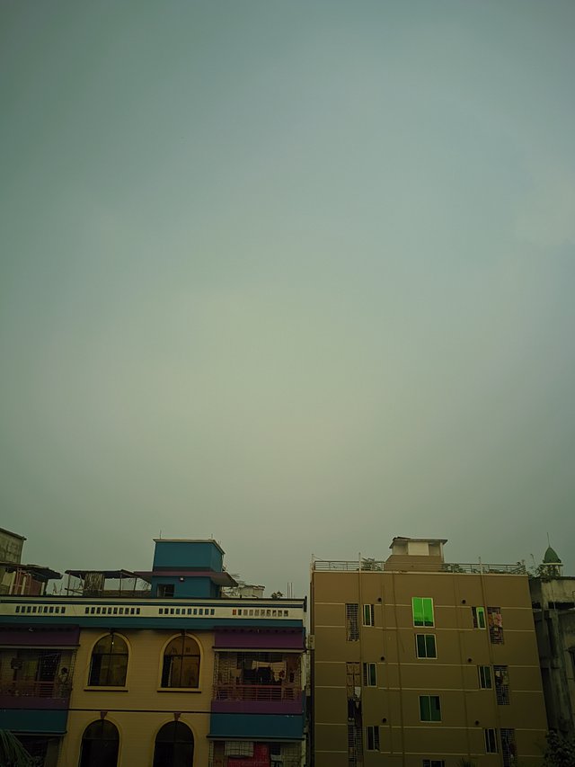 1000026688.jpg