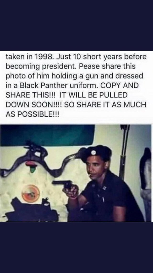 Obama black panther gun.jpg