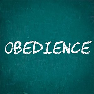 obedience-article-pic(1).jpg