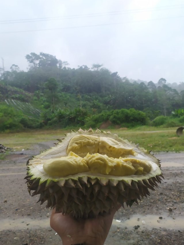 Durian.jpeg