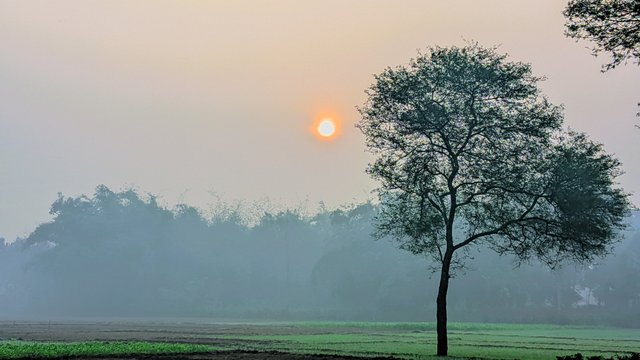 ®GcamHero_20241209_073018_🍏🌶️ Cinematic Glow By RAJU HASAN - LMC8.4R17 - .jpg