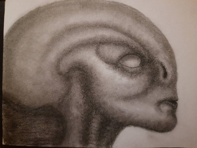 20250522_114044.jpg