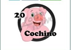 cochino.jpg