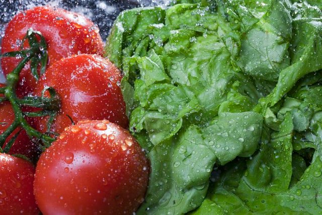 close-up-of-lettuce-and-vine-tomatoes-being-washed-561095843-572bb3ed3df78c038e2cf769.jpg