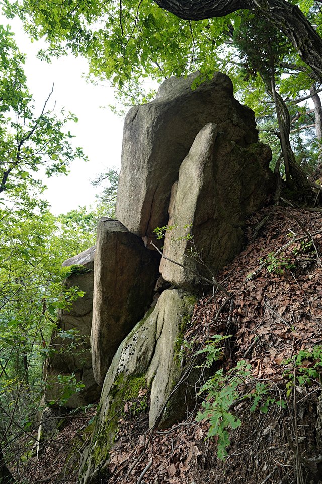 b-250723-072941.jpg