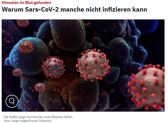 Warum Sars-CoV-2 manche nicht infizieren kann.jpg