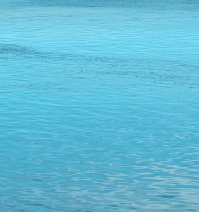 1756086788087.jpg