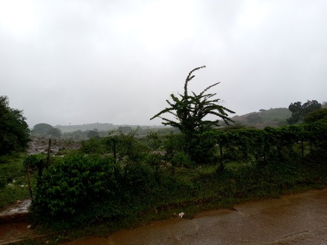 IMG_20250622_103416_393.jpg