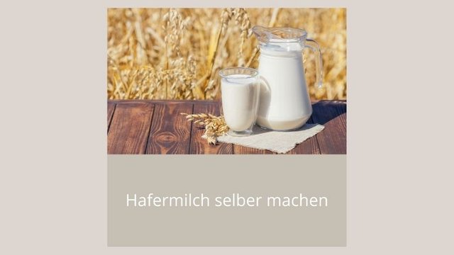 Hafermilch selber machen web.jpg