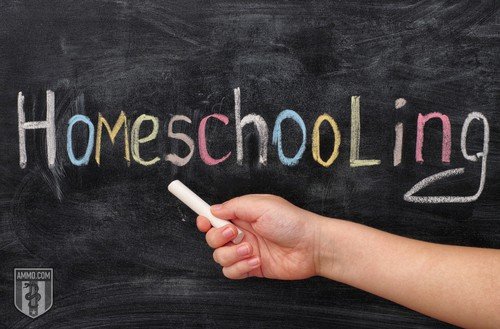 parents-guide-to-homeschooling-1.jpg