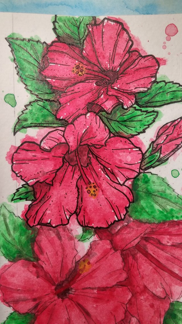 hibiscus ink 2.jpg