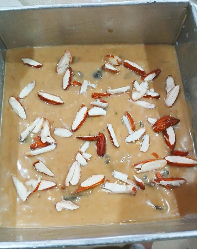 1000232316.jpg