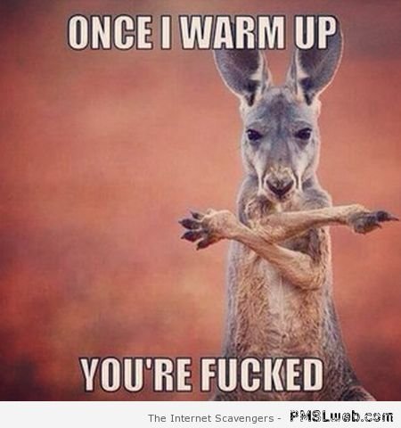 Funny-Kangaroo-Meme-Once-I-Warm-Up-You-Are-Funcked.jpg