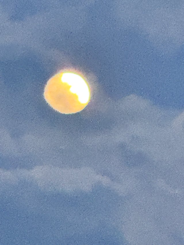 IMG_2338.jpeg