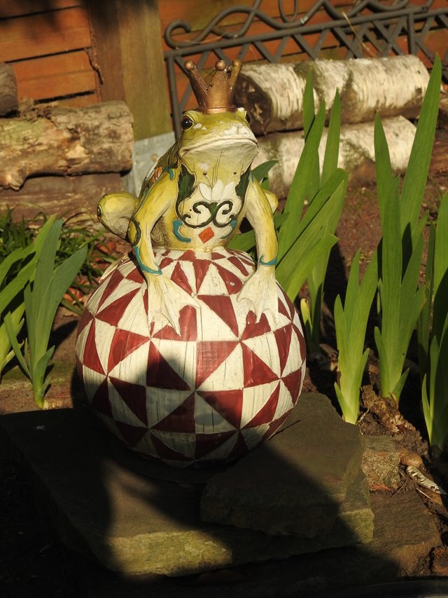 DSCN1226.JPG