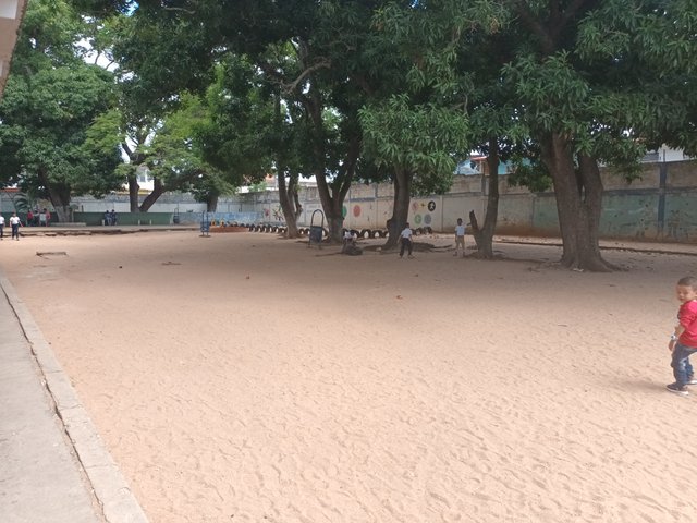 20250716_113547.jpg