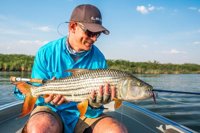 ichingo-safari-lodge-botswana-safari-tigerfish.jpg