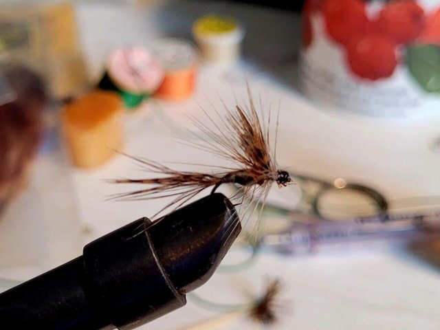 a dry fly.jpg