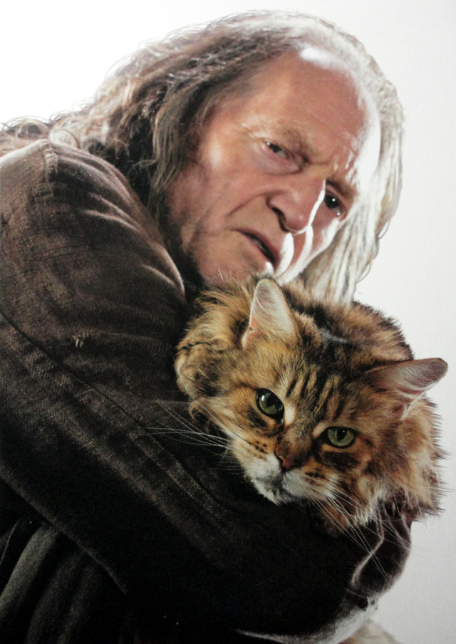 Filch_and_mrs._Norris.png